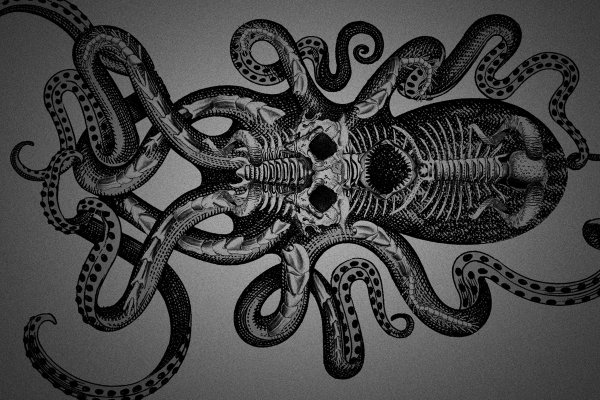 Kraken cc