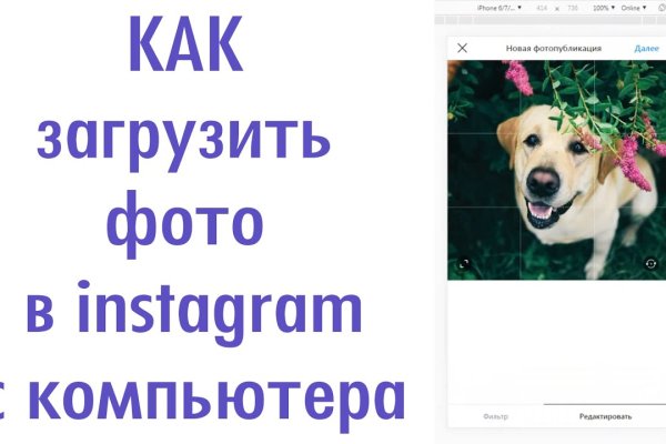 Кракен сегодня сайт зеркало