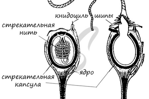 Кракен сайт бошки