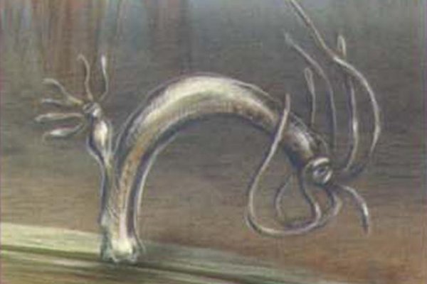 Kraken сайт tor