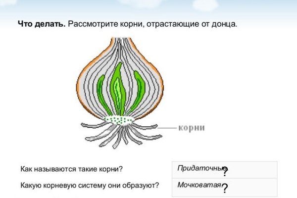 Что продает кракен